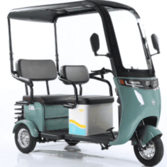 L-TPZ:Electric Leisure Tricycle with Canopy For Three Passengers Electric Scooter For Adults Electri