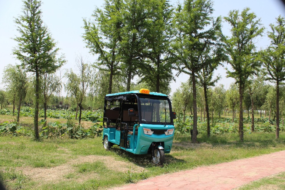 BY05 High-Performance Electric Passenger Tricycle (3000W PMSM, 50km/h)