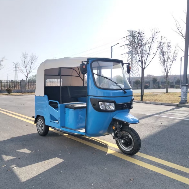 Tricycle Electric Scooter 3 Wheels Electric Tricycle Motorcycle for Adults Passenger in Cheap